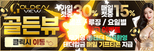 토토사이트 골든뷰